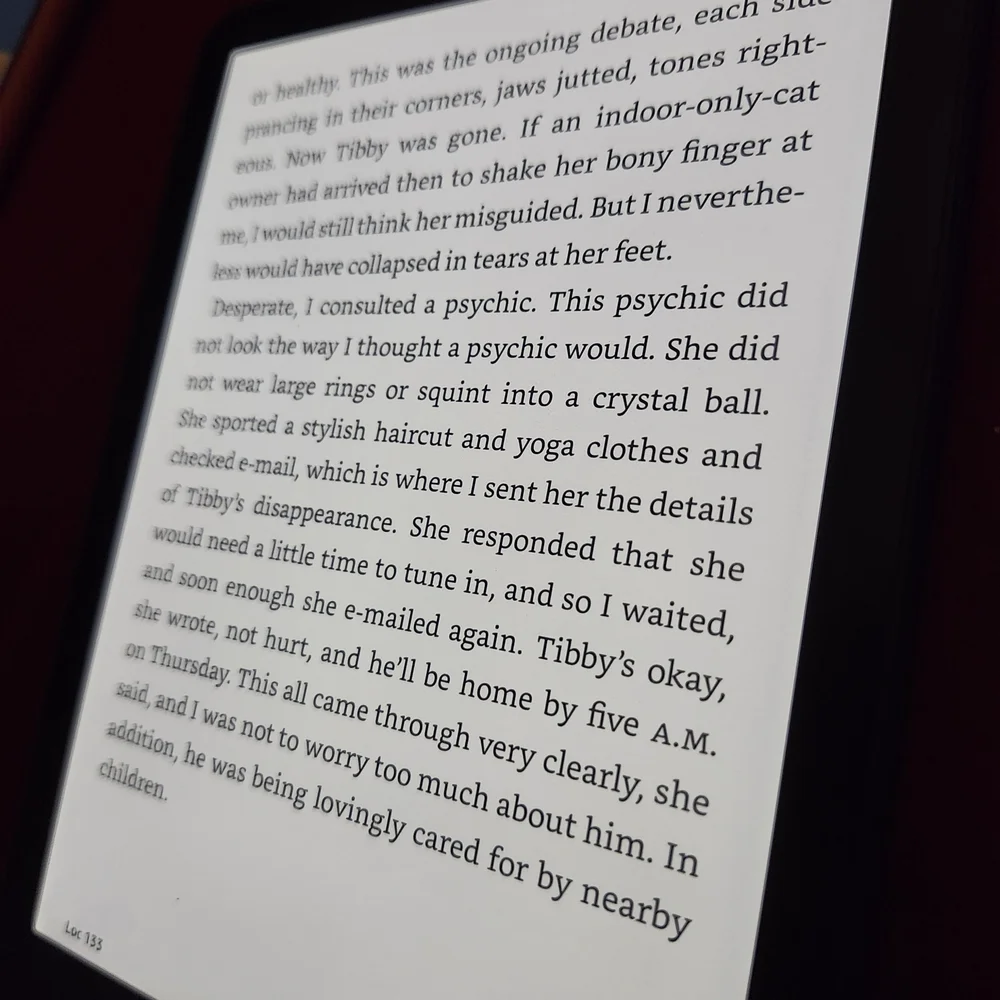 Black E-Reader